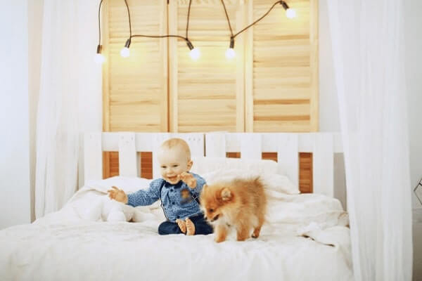 baby playing with dog