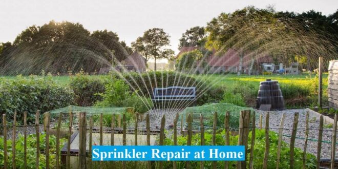 Sprinkler Repair