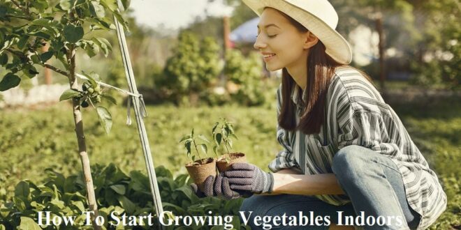 How To Start Growing Vegetables Indoors