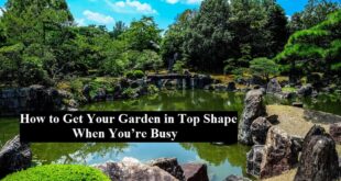 How to Get Your Garden in Top Shape When You’re Busy
