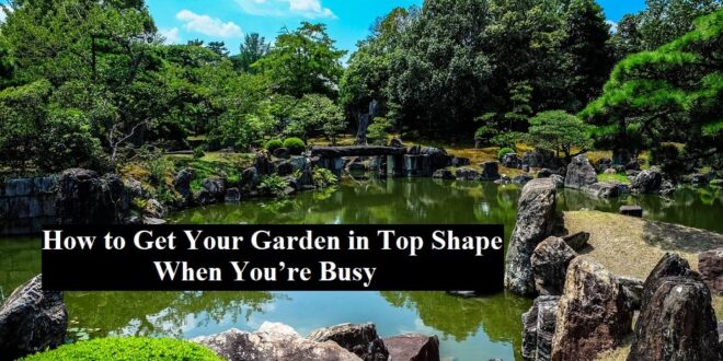 How to Get Your Garden in Top Shape When You’re Busy