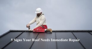 Roof Needs Immediate Repair