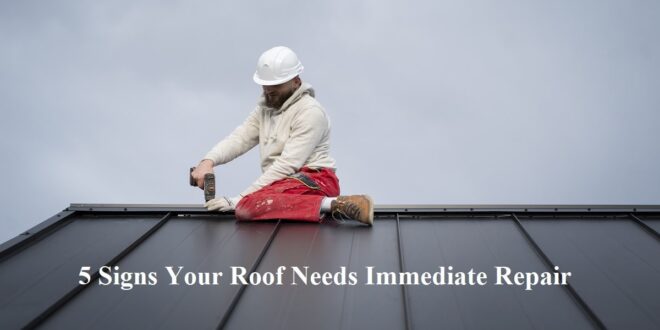 Roof Needs Immediate Repair